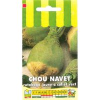 Sachet de  Chou rutabaga jaune à collet vert - 10 g - légume racine - LES GRAINES BOCQUET