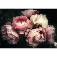 Papier Peint Intissé Fleurs Rose 368x254 cm Fleuri Pivoines Chambre Salon Photo Non Tissé Muraux Trompe l'oeil