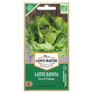 GRAINE - SEMENCE La ferme Sainte Marthe - 500 graines AB - Laitue B