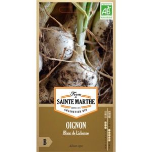 BULBE OIGNON Blanc de Lisbonne AB  - Semences reproductibles bio  FERME DE SAINTE MARTHE