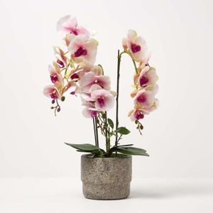 Orchidee artificielles - Cdiscount