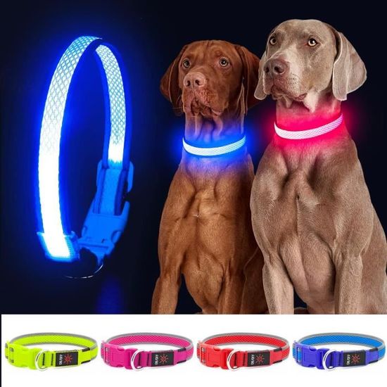 Cartable à LED Clignotante, 3 Modes, Rechargeable Par USB, Pendentif