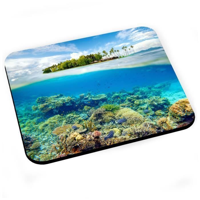 Tapis De Souris Ile Deserte Fonds Marins Corail Mer Paradisiaque Epoustouflant Cdiscount Informatique Tapis De Souris Ile Deserte Fonds Marins Corail Mer Paradisiaque Epoustouflant Cdiscount Informatique