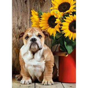 PUZZLE CLEMENTONI PUZZLE 1000 pièces - Le bulldog - High 