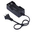 AC 110V 220 V double chargeur pour 18650 3.7V rechargeable Li-ion rechargeable US Pile rechargeable paontry 02-2