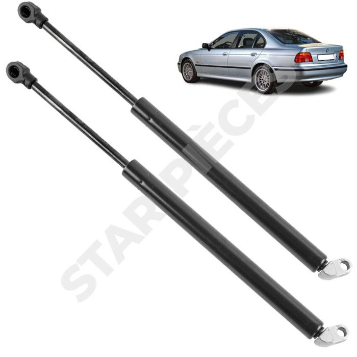 Ressorts à Gaz Hayon Frankberg Pour BMW 5er E39 1995-2003 | Remplace #51248222913 | Lot De 2