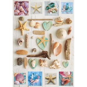 PUZZLE EDUCA Puzzle 1000 Collage De Coquillages PUZZLE EDUCA Puzzle 1000 Collage De Coquillages