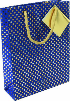 Lot De 6 Sacs Cadeaux Clairefontaine Pirates - Grand Format 26,5x14x33 Cm - Papier épais 210g - Pour Jeux, Puzzles, Livres