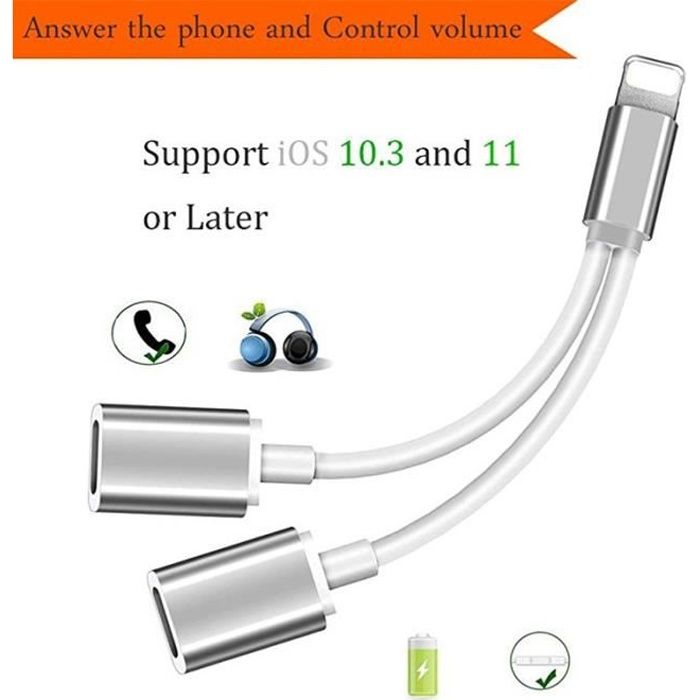Double adaptateur de Lightning pour iPhone X iPhone 8/8Plus iPhone 7/7Plus 2 en 1