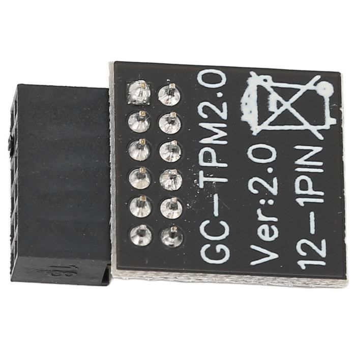 Akozon Module TPM Module de sécurité de cryptage TPM 2.0 12PIN haute ...