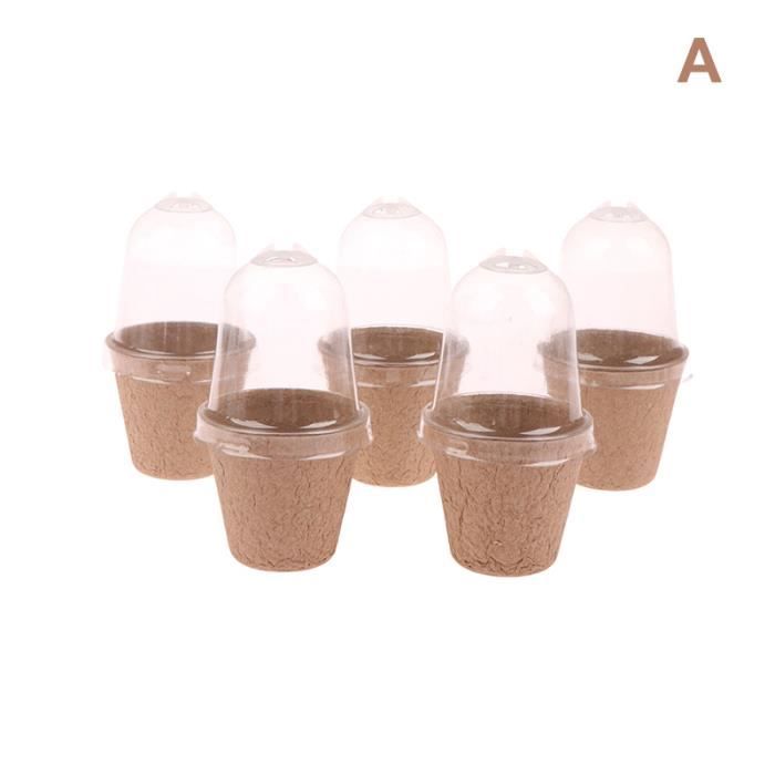 Hidyliu Lot de 5 supports pour plantes aériennes, oursins décoratifs, pots de fleurs suspendus, pot de plantes aériennes, matériau naturel, coquilles d'oursin, plafonds intérieurs