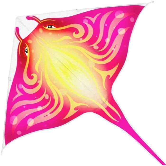 Cerf-Volant Parachute Souple 100in Double Ligne Touch The Sky - Facile à Voler Pour Enfants & Adultes Kite Stunt Débutant Expert