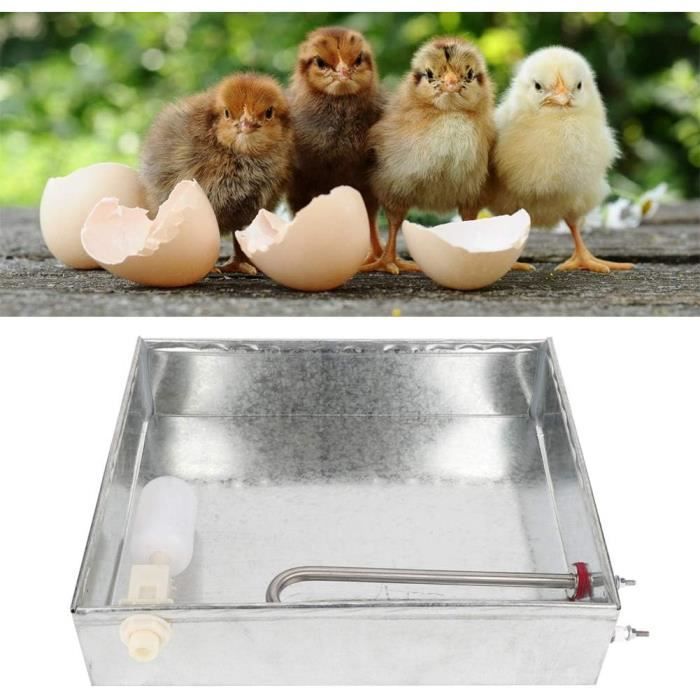 Abrevoir Automatique Pour Poules 2,5L - Réservoir Eau Anti-Fuite Pour Volière Et Élevage