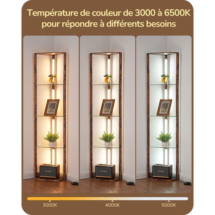 EDISHINE Lampadaire Salon 165 Cm Or – LED Dimmable Télécommande, Abat-jour Lin Rectangulaire, Minuterie 1h, 2700K-6000K, Luminosité 0-100%