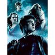 Puzzle 2x500 pièces - Harry Potter et le Prince de Sang Mêlé - Puzzle adultes Ravensburger - Dès 10 ans - 17265-2