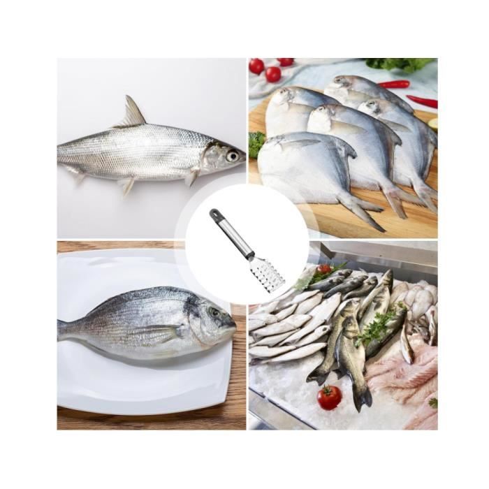 Écailleur De Poisson En Acier Inoxydable 3 En 1 - Grattoir Professionnel Avec Coupe Et Éviscération