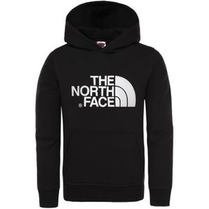 pull homme the north face