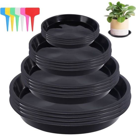 Coupe Pot De Fleur