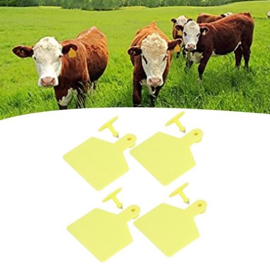Lot De 100 Étiquettes Oreille Vierges Plastique Pour Vaches Et Bétail - Accessoires Identification Animaux