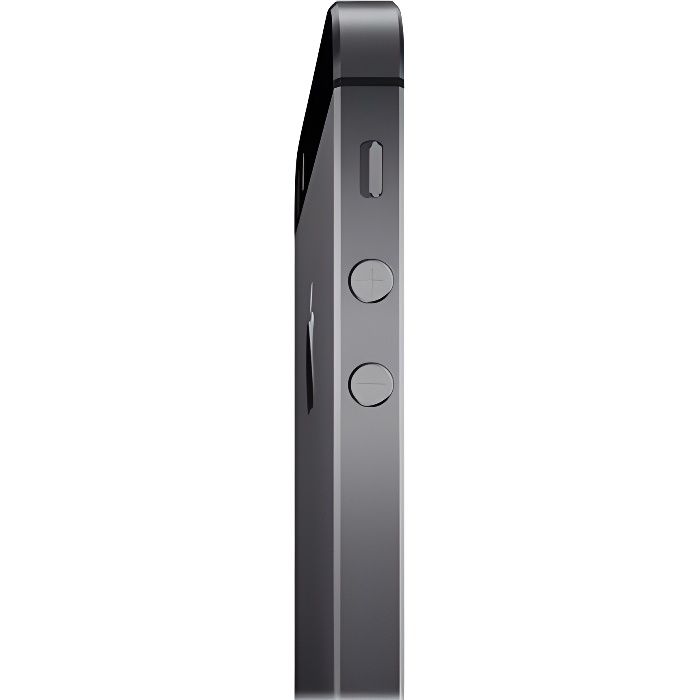 Smartphone iPhone 5S 16Go Gris Sans empreintes digitales pour déverrouiller la fonction