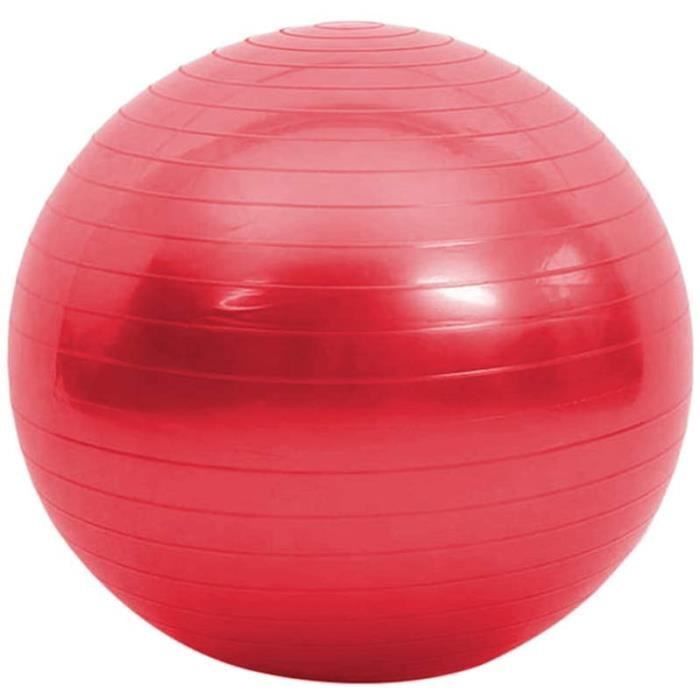 GYM BALL SI Douce Pilates Ball Petit Ballon dexercice 45Cm Gym Ball Pilates Yoga Entraicircnement De Base Et La Theacuterapie Ph394