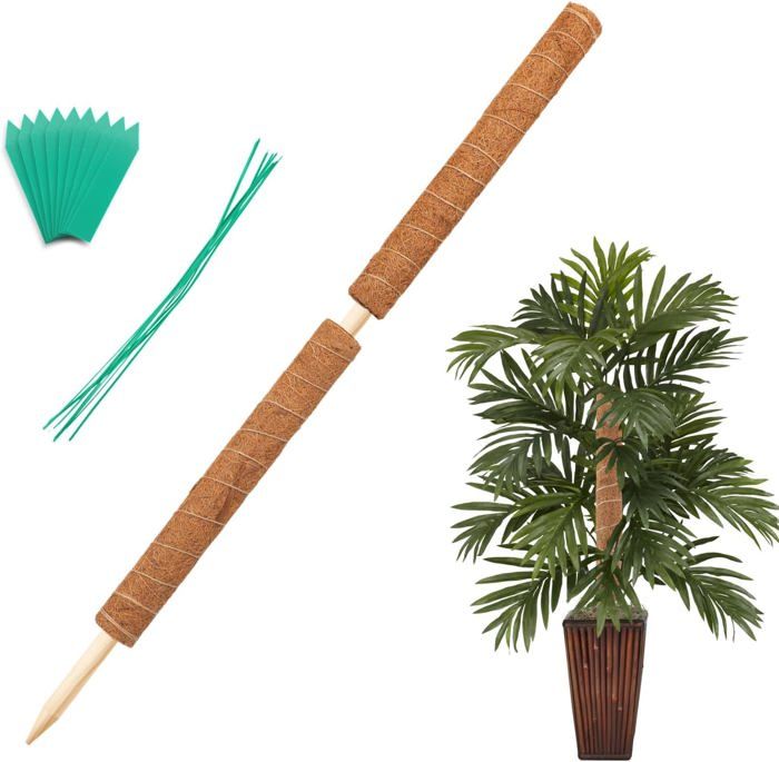 HTRTRR Lot De 2 Tuteurs Plantes Grimpantes 120 Cm Pliables – Mousse Coco Naturelle Pour Monstera, Pothos, Lierre