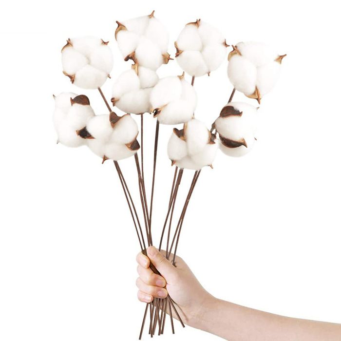 Fausses fleurs en coton séchées blanches 10 pièces pour décoration de maison ferme fête de mariage