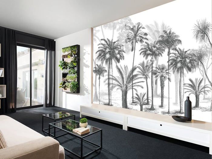 Papier Peint Panoramique 3D Jungle Soie Tropical Affiche Cocotier Forêt ...