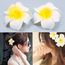 2x Femmes Fleur Pince à Cheveux Accessoires Barrette hawaïenne fête de mariage