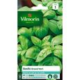 Graines de Basilic grand vert - VILMORIN - Plante aromatique - Semis en pot ou au jardin-0