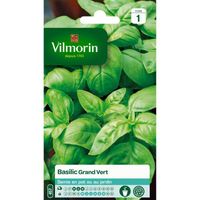 Graines de Basilic grand vert - VILMORIN - Plante aromatique - Semis en pot ou au jardin