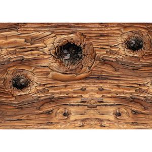 Réaliste argent bouleau blanc panneau en bois effet fonctionnalité poids lourd papier peint