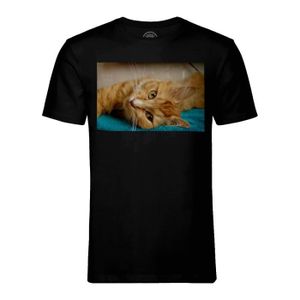Chat Tigre Roux Cdiscount
