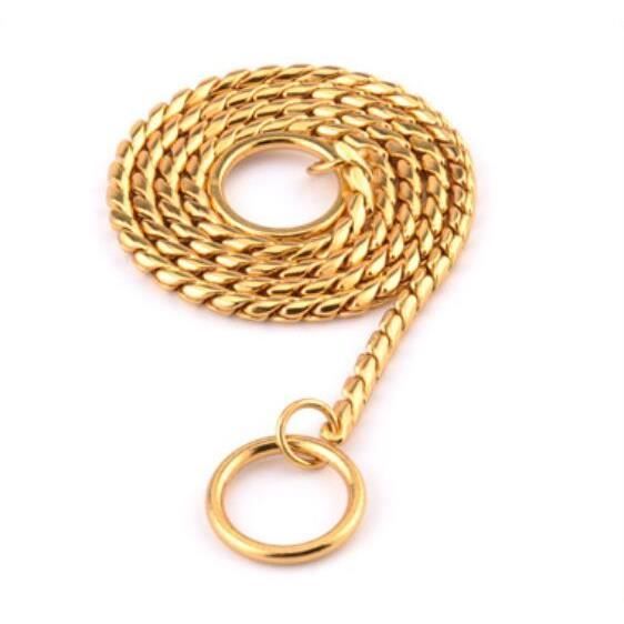 collier -Chaîne P serpent en acier inoxydable 7 tailles - Animal de compagnie, argent, en acier...- Modèle: Gold 3XL - HOCWXQC07433