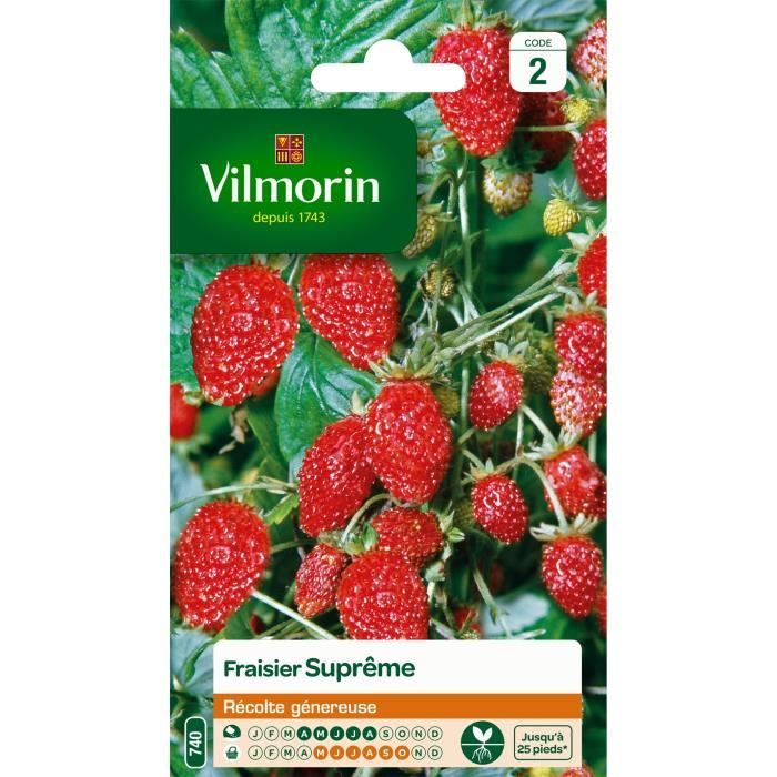 VILMORIN Fraisier des 4 saisons suprême