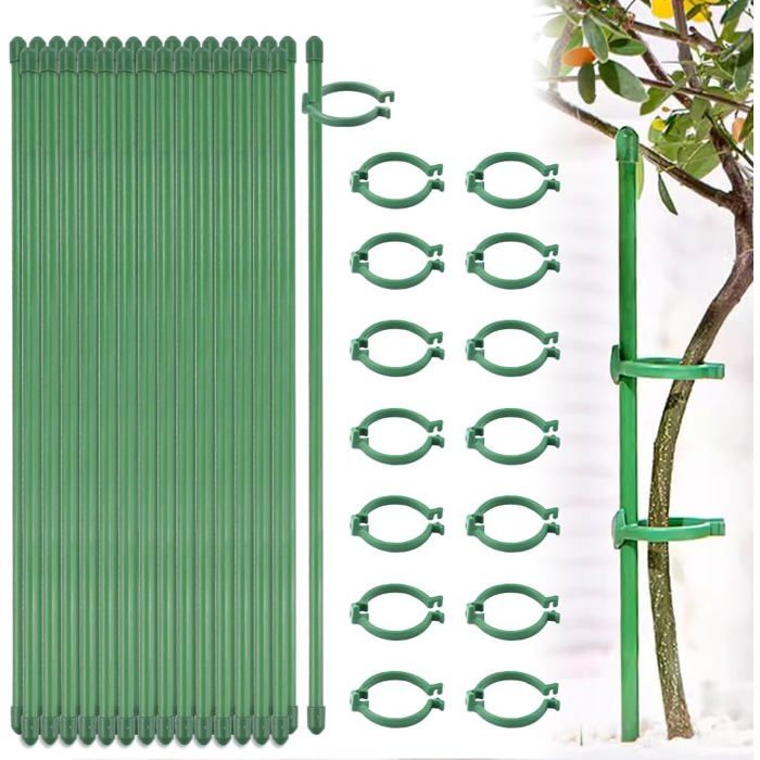 Tuteur Plantes Nogeqi Tuteurs Pour Plantes - Lot De 10 Avec 20 Clips Pour Orchidées Et Plantes Grimpantes Support Orchidées