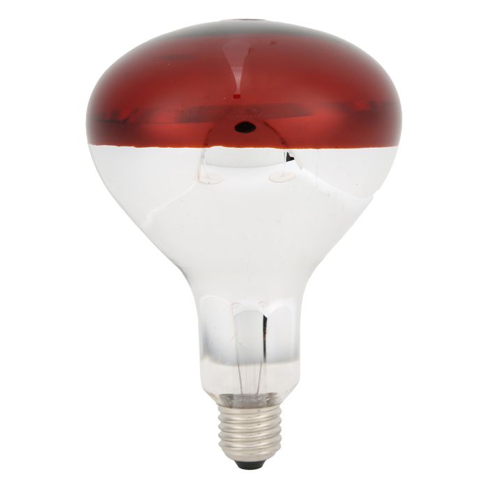 Lampe chauffante infrarouge pour poussins ampoule rouge pour couveuse 220 V/250 W