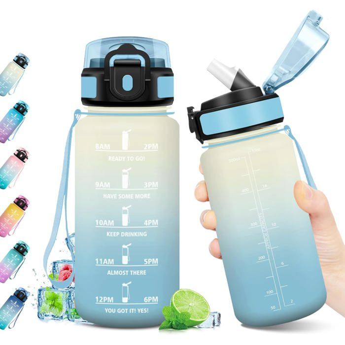 HoneyHolly Gourde Paille, Gourde 500ml, sans BPA & Étanches, Bouteille, Motivation Bouteille d