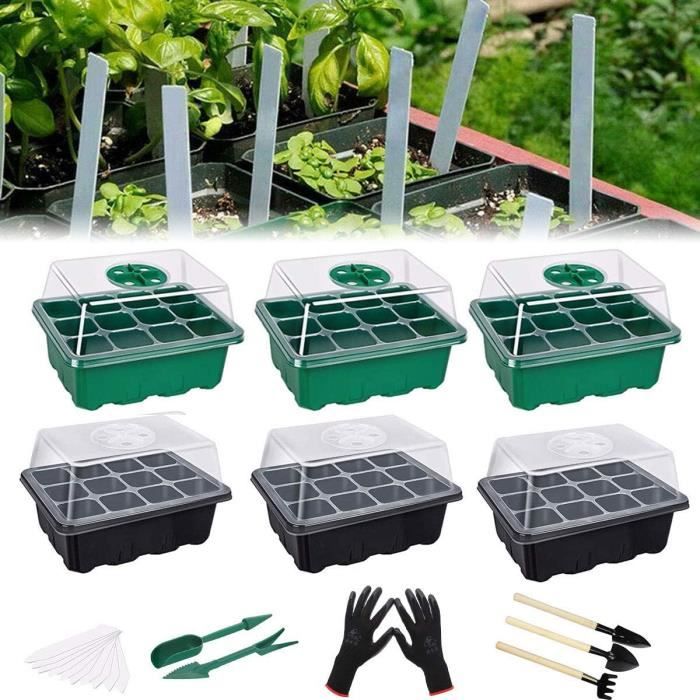 Lot De 6 Bacs à Germination Avec Couvercle - 20x12 Cm, Sans BPA - Pour Graines (luzerne, Haricots Mungo, Blé...)
