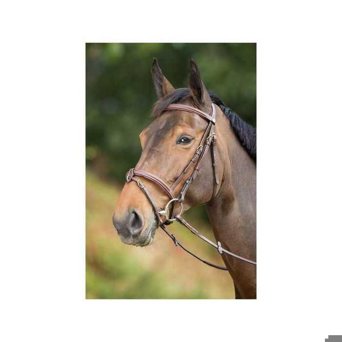 Bride Anatomique Figure 8 Pour Cob – Taille COB, Cuir Marron, Peu Servie
