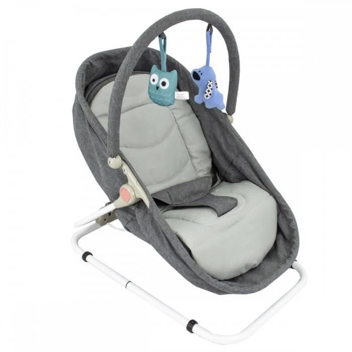 Luxury Bouncer Transat Evolutif En Berceau Bebe Jusqu A 9kg Gris Achat Vente Transat Cdiscount