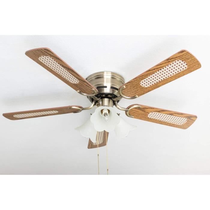 Ventilateur de Plafond - Pepeo - 105 cm - ChêneNoyer - Laiton antique - LED Blanc chaud - Pepeo