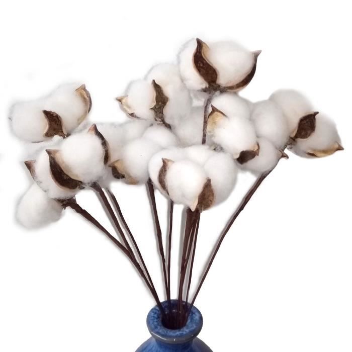 Lot 10 Fleurs De Coton Séchées Naturelles – Branches Coton Blanc Réalistes – Décoration Boho, Mariage, Vase, Intérieur Extérieur