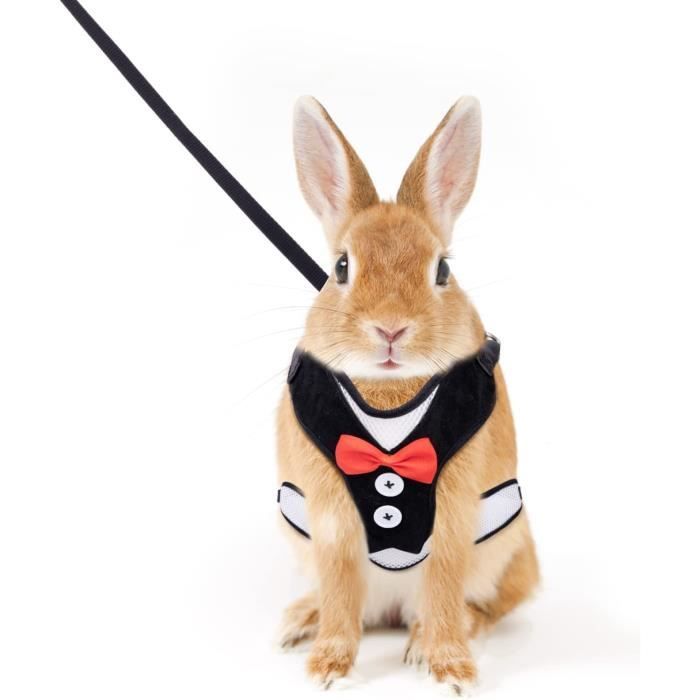 Comparer les prix de Harnais pour Lapins - ZHUODIKE - Dos à Nœud Papillon Respirant et Décontracté - Réglable - Noir