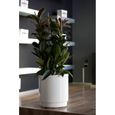 PLASTIKEN Pot de fleurs à réserve d'eau Hidrojardinera - Ø22 cm - Blanc-1