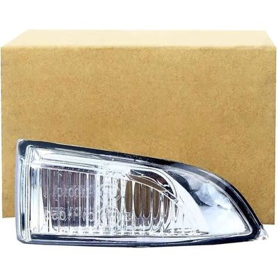 Feu Répétiteur Rétroviseur Droit Pour Renault Megane - Codes OEM 261600001R / 261609550R, Neuf Générique