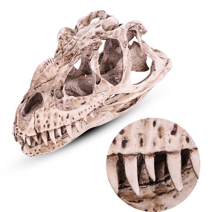 Réplique artisanale de crâne de T-Rex fossilisé – Sculpture de dinosaure de qualité muséale - France Réplique artisanale de crâne de T-Rex fossilisé – Sculpture de dinosaure de qualité muséale - France