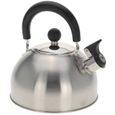 Import Anglais]Whistling Kettle YL9040400-0