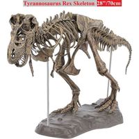 Tyrannosaurus Rex Squelette Dinosaure Animal Collector Décor Modèle Jouet Modèle squelette de dinosaure
