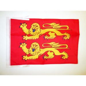 Drapeau Mouvement Normand 90 x 150 cm Fourreau pour hampe AZ FLAG Drapeau Normandie Croix de Saint Olaf 150x90cm
